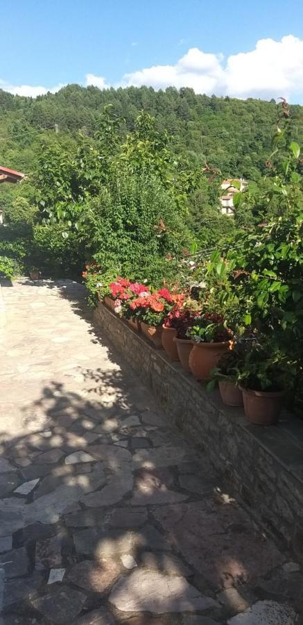 Το Σπίτι Της Ευτυχίας Στούντιο Lägenhet Karpenísion Exteriör bild
